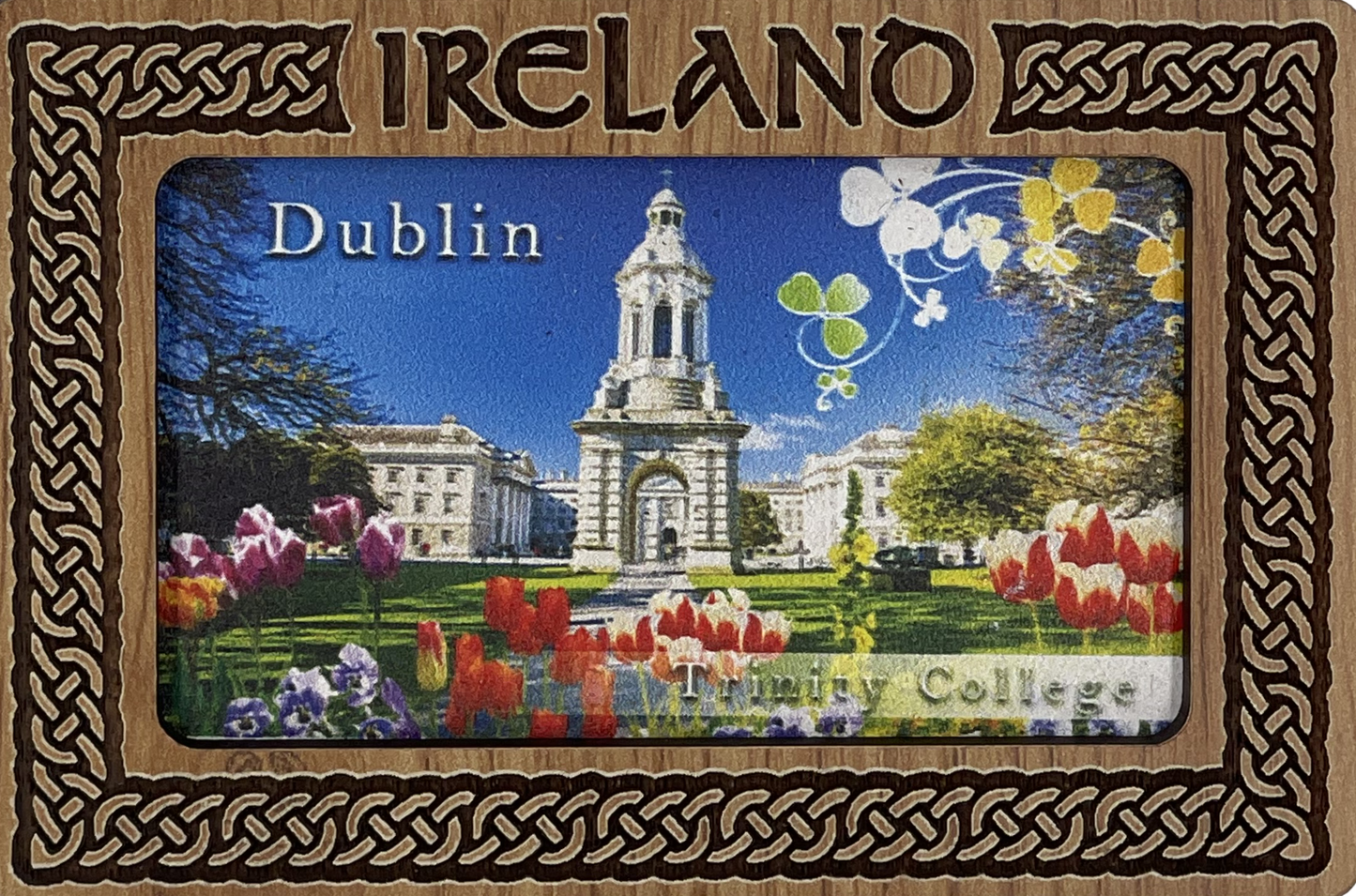 MC20 - Magnet "Trinity College" (County Dublin)