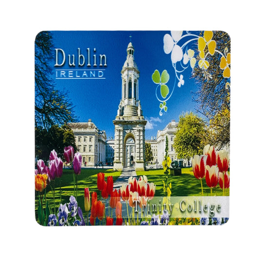 CP12 – Coaster “Trinity College” (County Dublin)