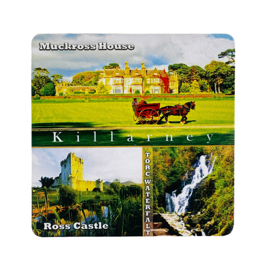 CP20 – Coaster “Killarney” (County Kerry)